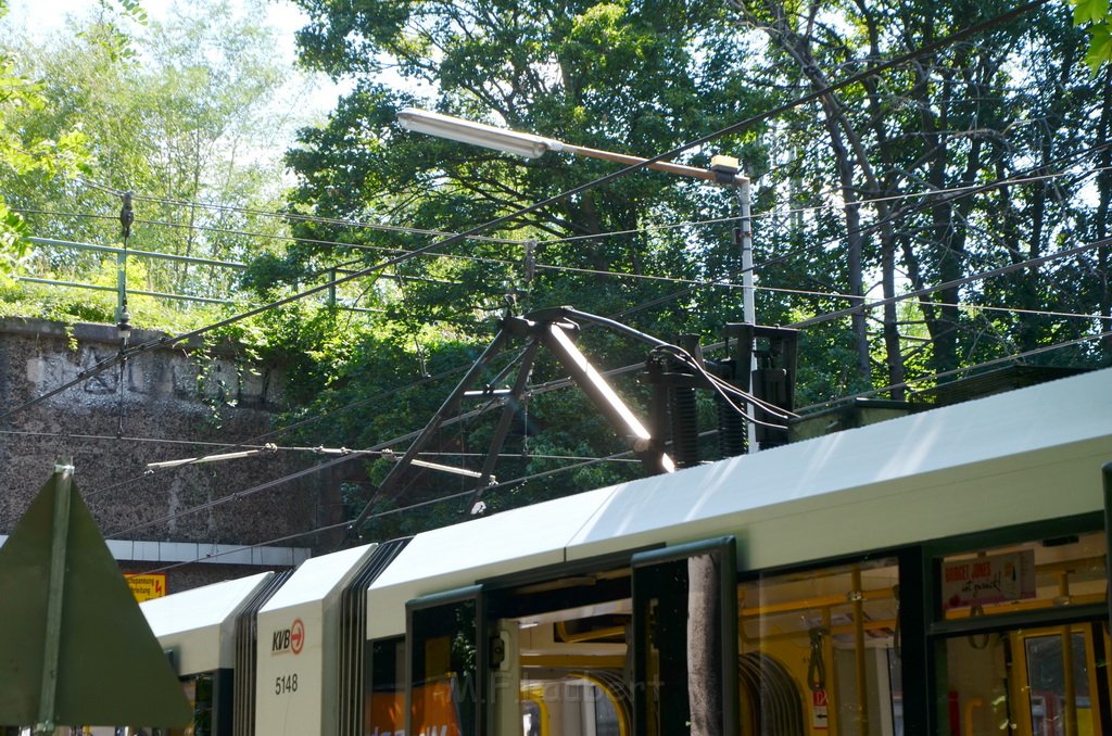 KVB Bahn defekt Koeln Buchheim Heidelbergerstr P08.JPG - Miklos Laubert